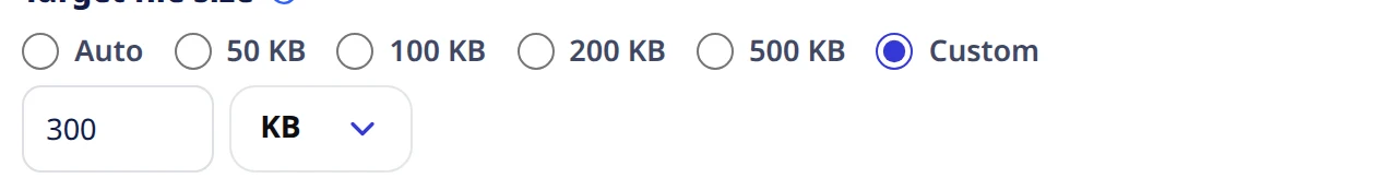 Custom selected, with a number box reading 300 and a unit dropdown set to KB