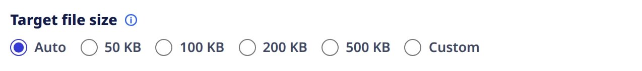 The target file size row: Auto selected, then 50 KB, 100 KB, 200 KB, 500 KB and Custom