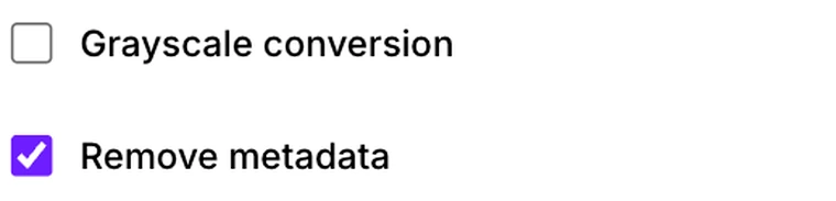 The Grayscale conversion and Remove metadata checkboxes in Pixpoo Compress PDF