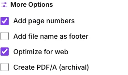 The More Options checkboxes: page numbers, filename footer, optimize for web and PDF/A