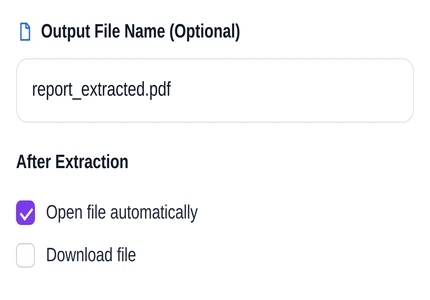 The output file name field and the After Extraction checkboxes