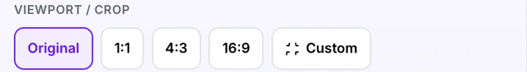 The viewport and crop aspect ratio options in Pixpoo PDF to JPG