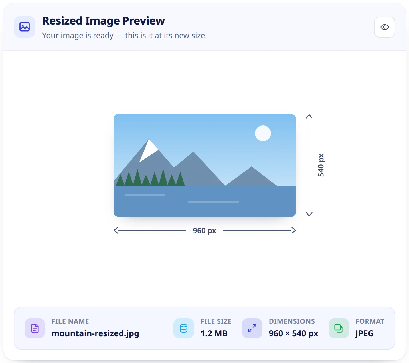 The resized image preview with measurement arrows and a strip showing the output file name, size, dimensions and format.