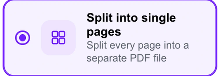 The Split into single pages option in Pixpoo Split PDF