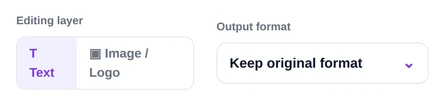 The editing layer tabs beside the output format selector set to keep original format