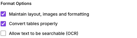 The three format option checkboxes: maintain layout, convert tables properly, and allow text to be searchable